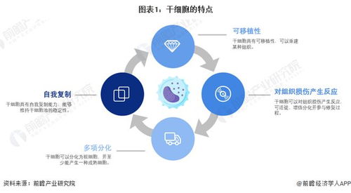 干細胞技術最新預測 裴鋼院士強調前沿生物醫藥產品開發需確保三大核心要素